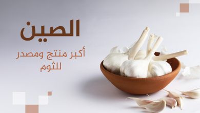 صورة أكبر 10 دول منتجة ومصدرة للثوم في العالم.. مفاجآت عربية في القائمة