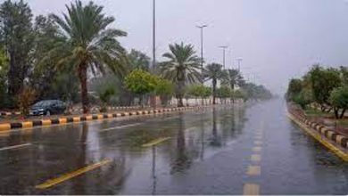 صورة طقس الإثنين.. أمطار رعدية مصحوبة بزخات من البرد ورياح نشطة وضباب على عدة مناطق