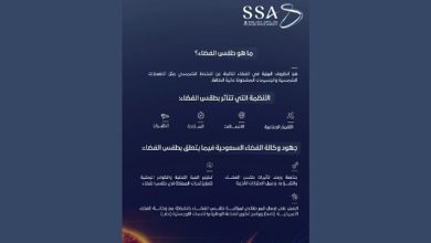 صورة عام 2025 يشهد نشاطًا شمسيًا متزايدًا