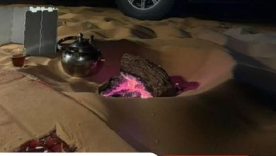 صورة ضبط مواطن لإشعاله النار في غير الأماكن المخصصة لها بمحمية الملك عبدالعزيز الملكية