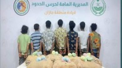 صورة حرس الحدود بجازان يقبض على 7 إثيوبيين ويمنيين لتهريبهم 140 كيلوجرامًا من القات المخدر