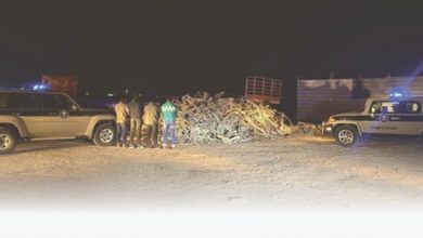 صورة ضبط مقيمين من الجنسية البنجلاديشية مخالفين لنظام البيئة بالمنطقة الشرقية