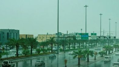 صورة «هيئة الطرق» تدعو قائدي المركبات إلى الالتزام بالإرشادات أثناء هطول الأمطار