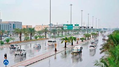 صورة طقس المملكة الثلاثاء.. أمطار رعدية وزخات من البرد ورياح نشطة على عدة مناطق