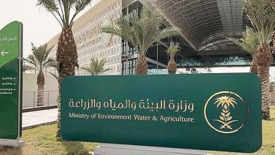 صورة مكة المكرمة الأعلى.. «البيئة» ترصد هطول الأمطار في 9 مناطق