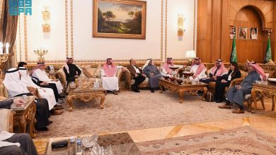 صورة سفير المملكة لدى مصر يلتقي نائب أول رئيس مجلس الوزراء المصري