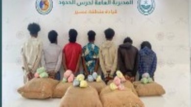 صورة حرس الحدود بعسير يقبض على 7 إثيوبيين لتهريبهم 140 كيلوجرامًا من القات المخدر