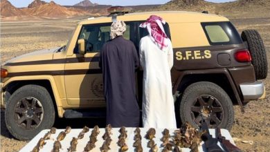 صورة بحوزتهم بنادق وكائنات فطرية.. القبض على مواطنين لارتكابهما الصيد دون ترخيص في المدينة