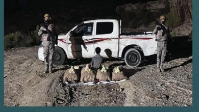 صورة القبض على مواطن بعسير لتهريبه 160 كيلوجرامًا من القات