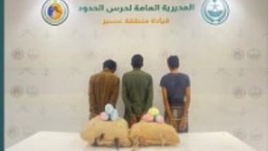 صورة حرس الحدود بعسير يقبض على 3 يمنيين لتهريبهم 40 كيلوجرامًا من القات المخدر