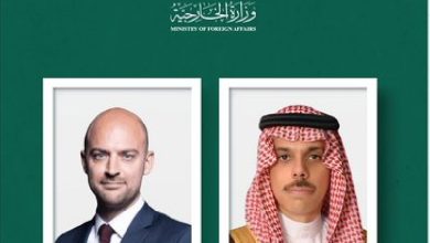 صورة وزير الخارجية ونظيره الفرنسي يبحثان العلاقات الثنائية والمستجدات الدولية