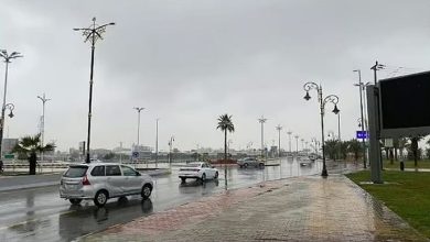 صورة طقس المملكة الأربعاء.. أمطار رعدية وزخات من البرد ورياح نشطة على عدة مناطق