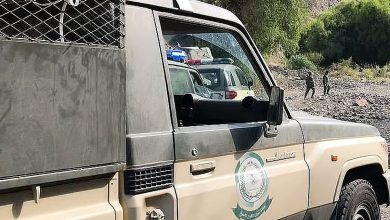 صورة القبض على مصري لنقله مخالفين لنظام أمن الحدود في عسير