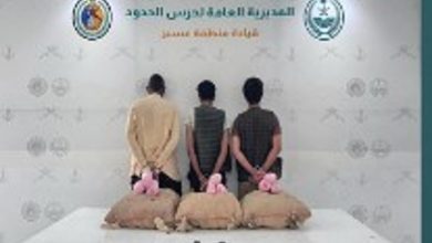 صورة حرس الحدود بعسير يقبض على 3 يمنيين لتهريبهم 60 كيلوجرامًا من القات المخدر