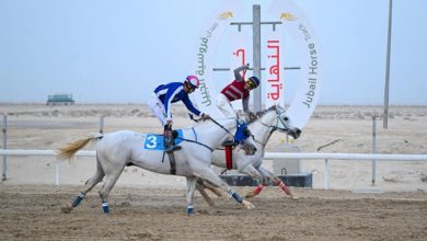 صورة "فروسية الجبيل" ينظم ثاني سباقاته للموسم الحالي 1447