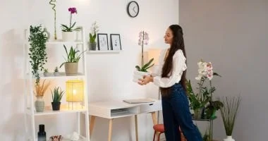 صورة كيف تطبق قواعد الفنج شوى في منزلك لطاقة إيجابية مستمرة