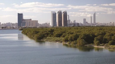 صورة الأرصاد تكشف عن حالة الطقس من ليل 12 حتى 19 ديسمبر