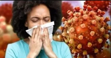 صورة كل ما تحتاج معرفته عن الرينوفيروس