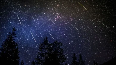 صورة تشهد سماء المنطقة العربية زخة شهب التوأميات مساء اليوم