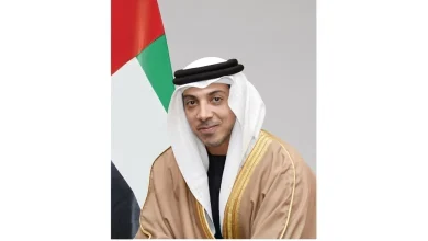 صورة برئاسة منصور بن زايد.. مجلس إدارة المصرف المركزي يعتمد إصدار أنظمة مالية وتأمينية لتعزيز تنافسية القطاع المالي في الدولة