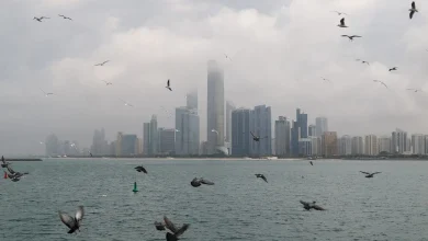 صورة توقعات بسقوط أمطار وارتفاع طفيف في درجات الحرارة غداً