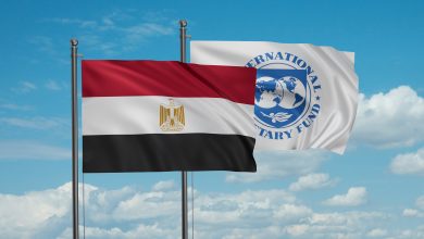 صورة صندوق النقد ومصر يتفقان على مراجعتين بشأن برنامج الإقراض