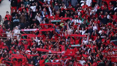 صورة قبل لقاء المغرب والكاميرون.. الجمهور يقول كلمته بشأن النتيجة